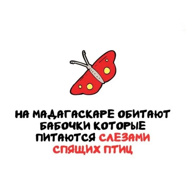 Факты, которые удивят за пару секунд