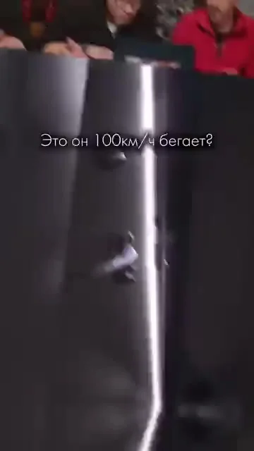 Газель по ходу слопал, с пассажирами