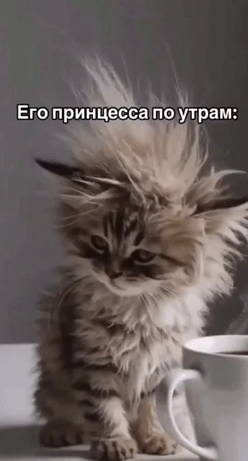 Гифки, анимации и залипалки