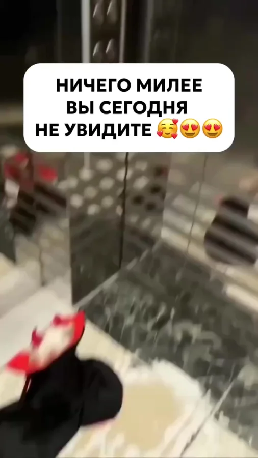 Граф Котякула