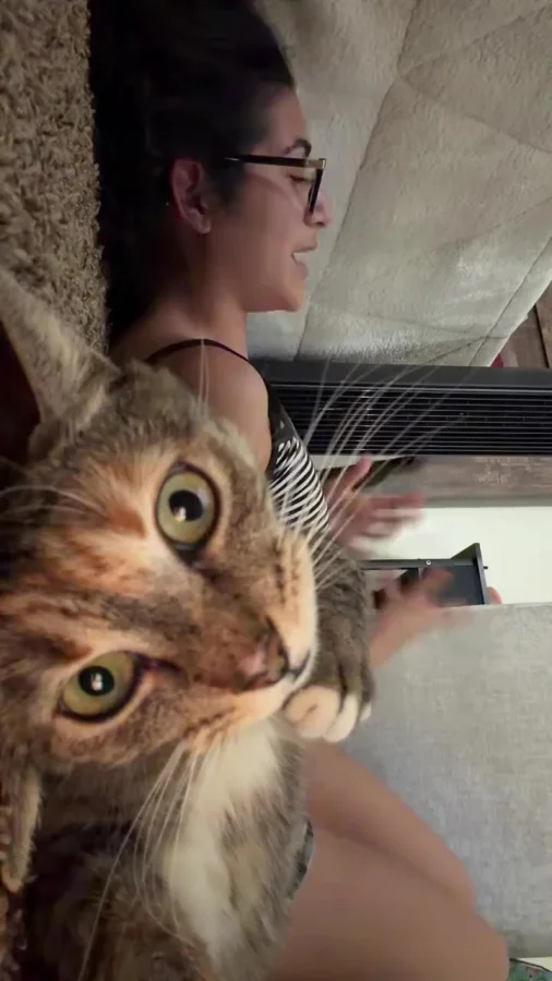 И как ты с этим живёшь, Наташ?