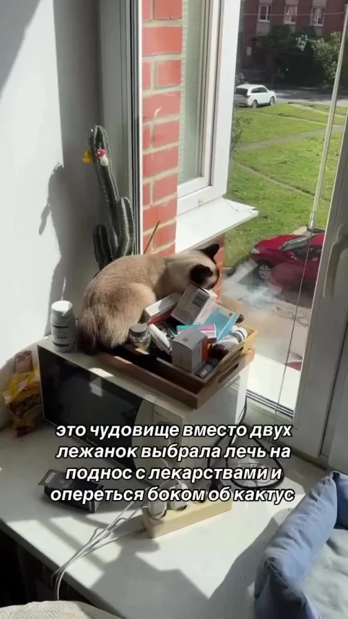 Иглотерапия у него сейчас)
