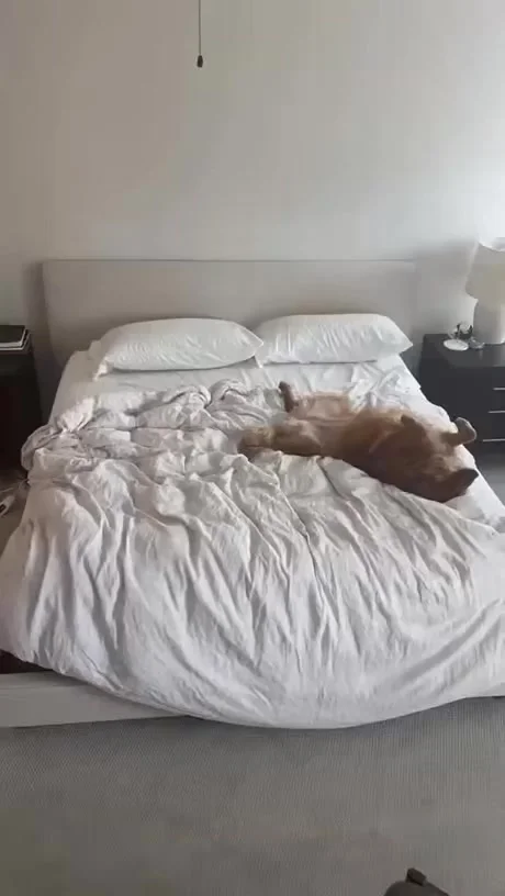 Я разве мешаю?