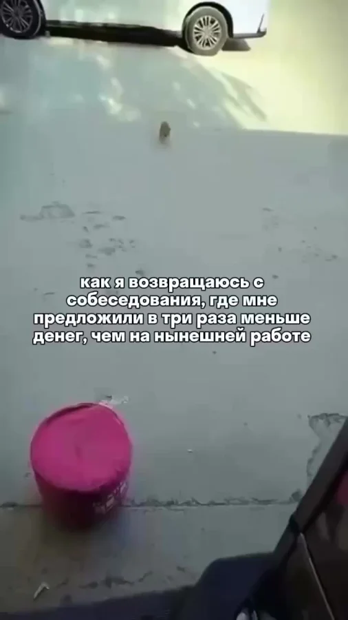 Как я возвращаюсь с собеседования