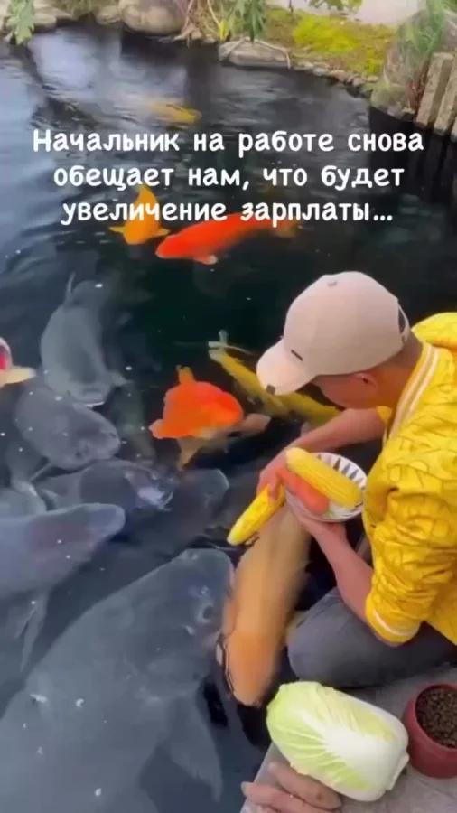 Как то так