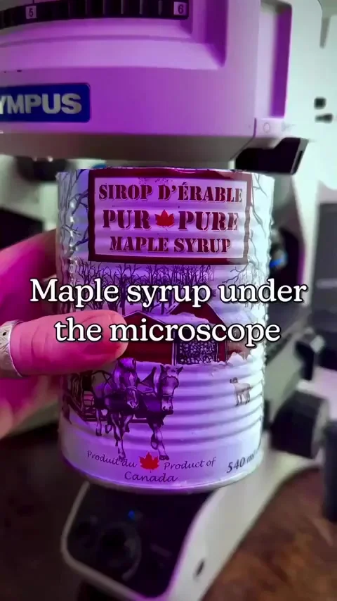 Как выглядит кленовый сироп под микроскопом