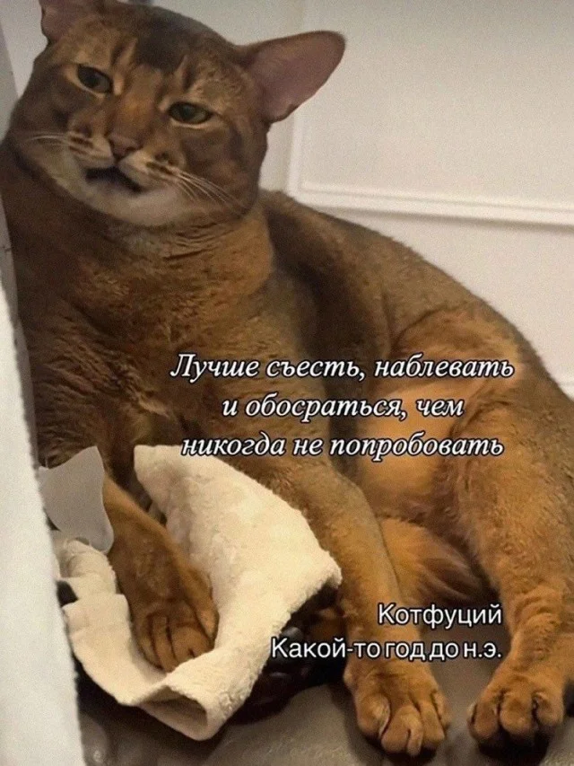 Картинки для приятного просмотра