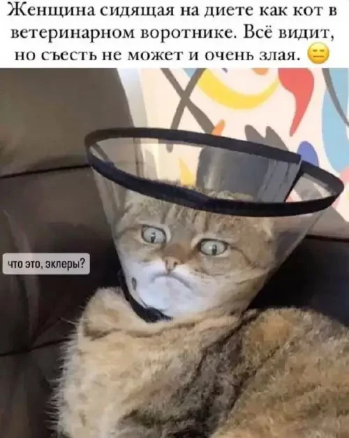Картинки для смеха