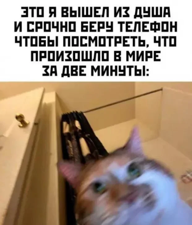 Картинки для смеха