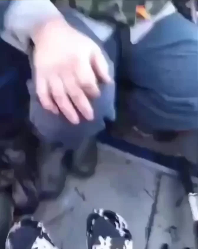 Комары над рекой