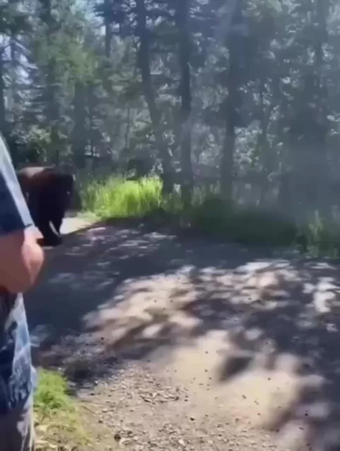 Лучший работник