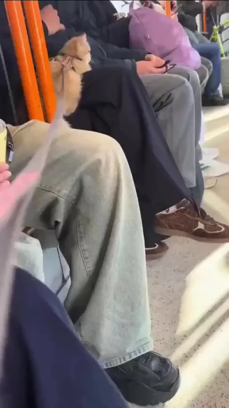 Момент осознания, что села на чужие колени