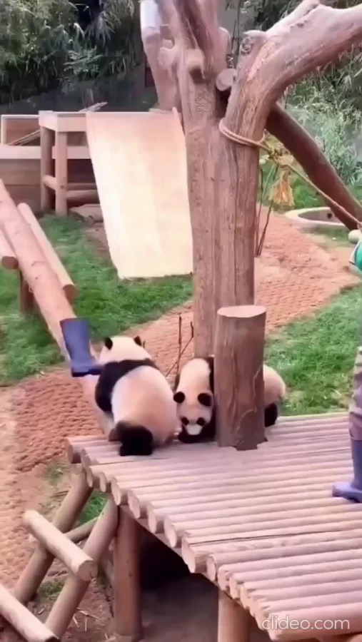 Нашёл новую игрушку