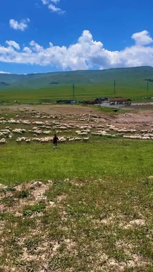 Не стоит забывать об охране