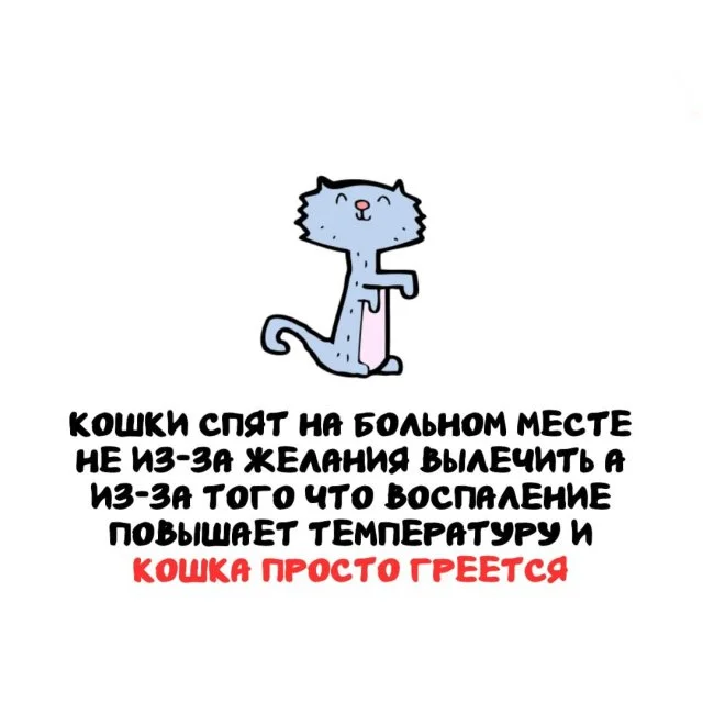 Необычные факты, которые всегда найдут применение