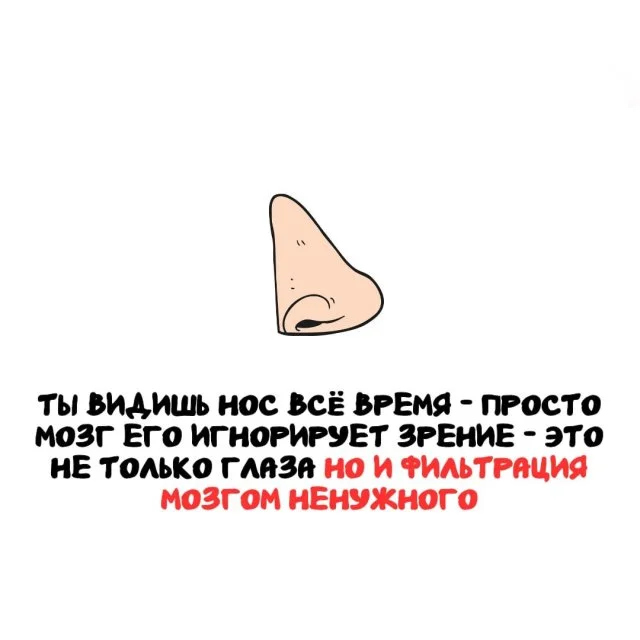 Неочевидные факты обо всём на свете