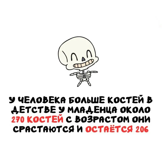 Неочевидные факты обо всём на свете