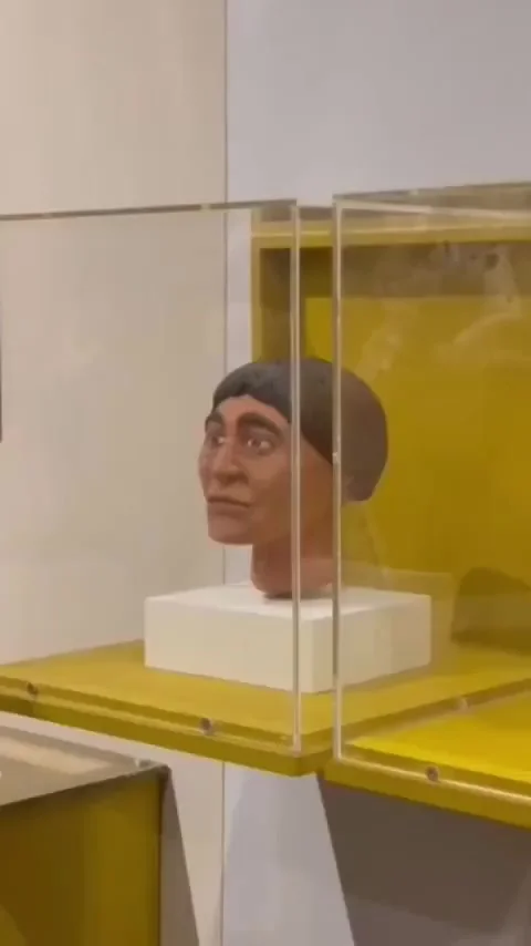 Одно лицо