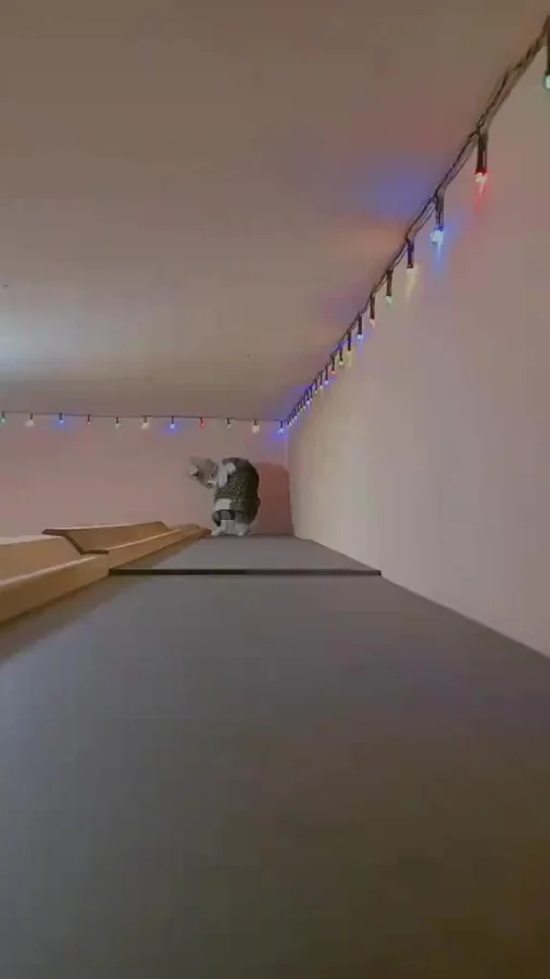 Оно идёт, оно рядом