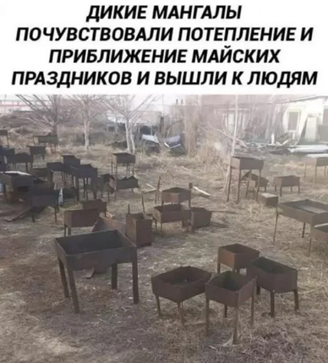 Подборка мемов для тех, кто уже всё понял