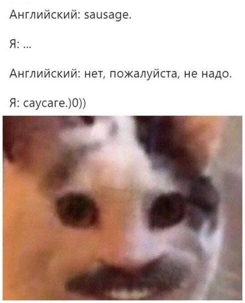 Подборка смешных картинок