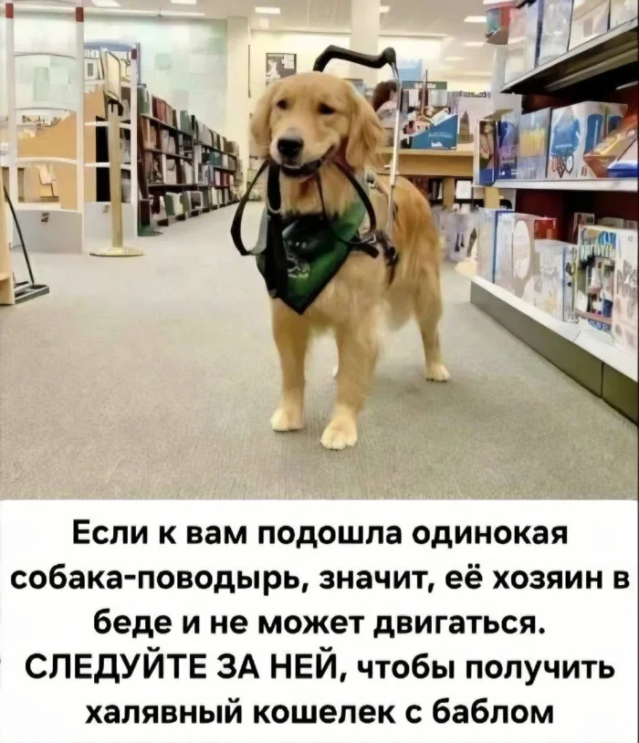 Пошлые мемы и чёрный юмор 18+ | Подборка #195