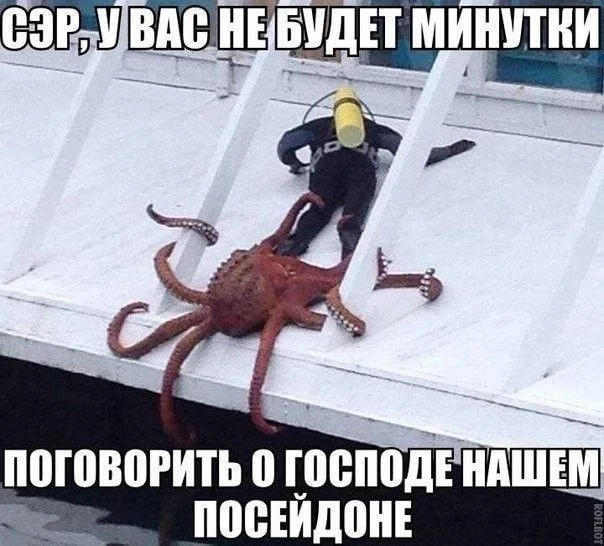 Приколы из сети