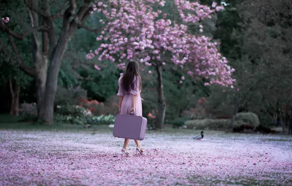 Прогулки в парке