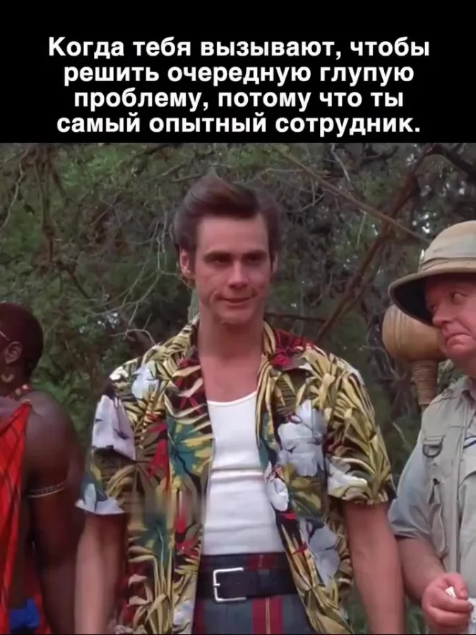 С дороги, неучи!