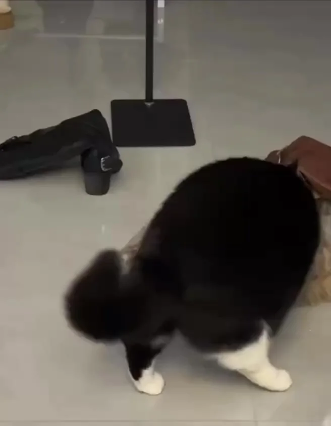 Самое удобное место