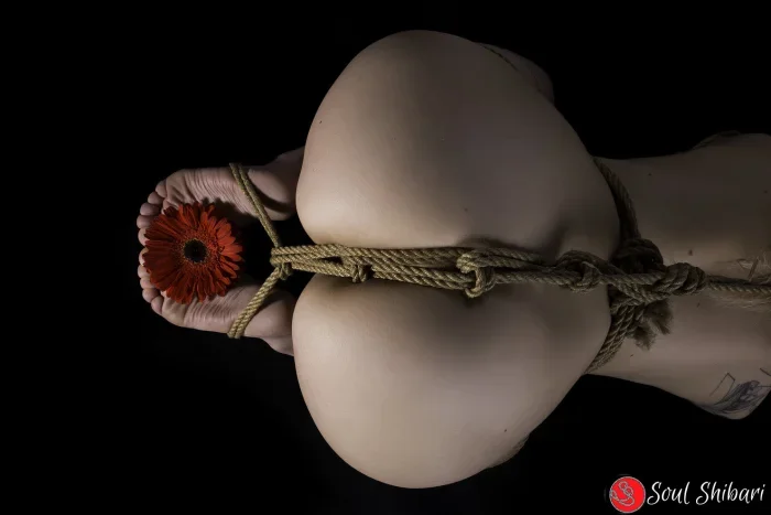 Шибари — японское искусство верёвочной эстетики