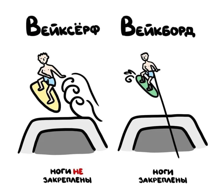 Слова, которые часто путают: в чём разница #38