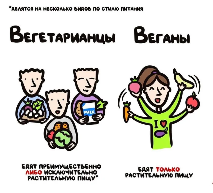 Слова, которые часто путают: в чём разница #41