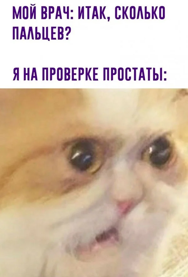 Смех без причины — зато настроение есть