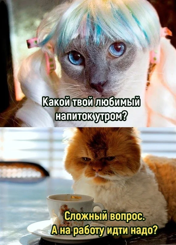 Смех без причины — зато настроение есть