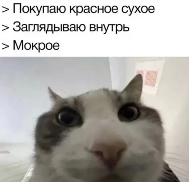 Смешная подборка картинок