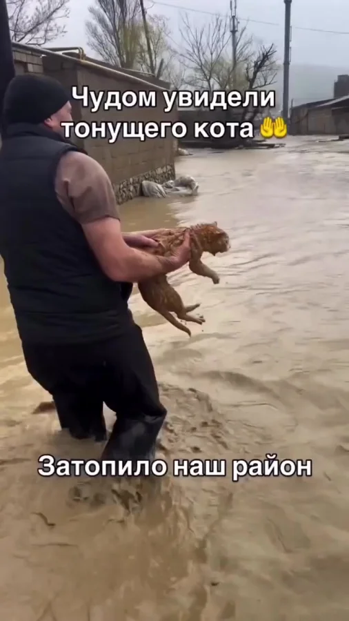 Спасение людей и животных во время сильного дождя в Дагестане