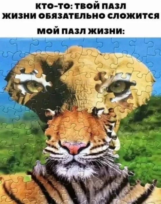 Свежая партия интернет-идиотизма