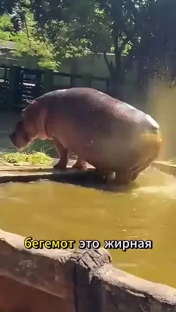 Тут уже и медоеду подумать надо...