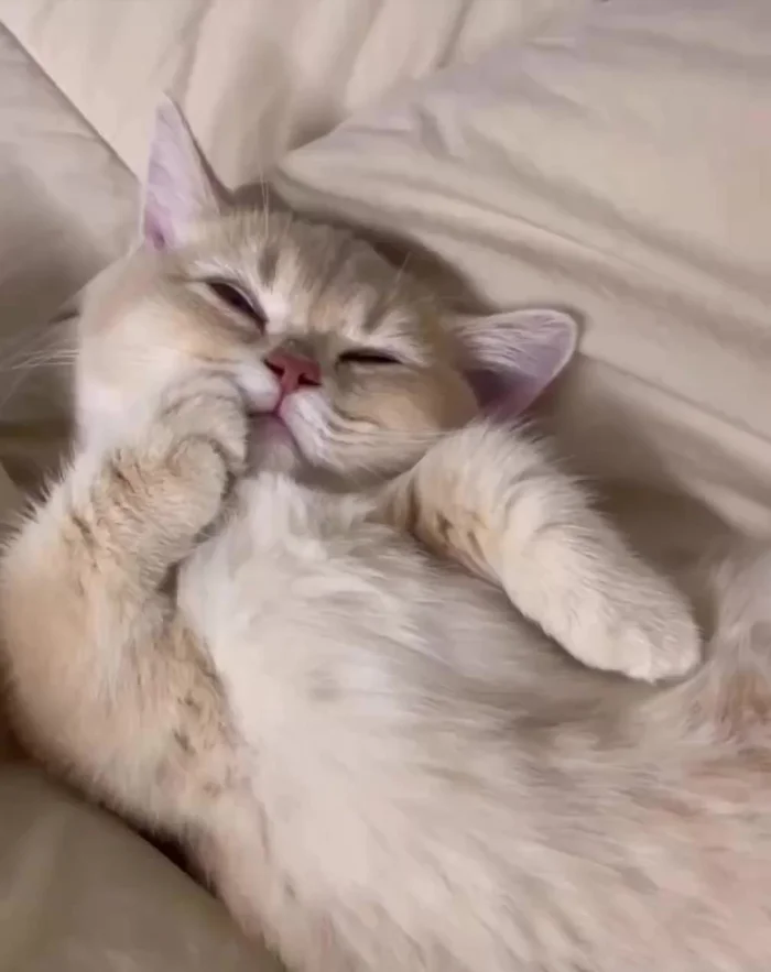 Укладываемся на дневной сон