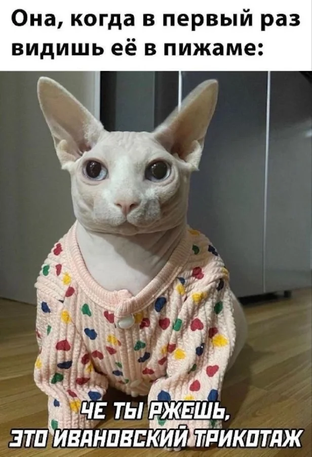 Улыбнись: смешные картинки из сети