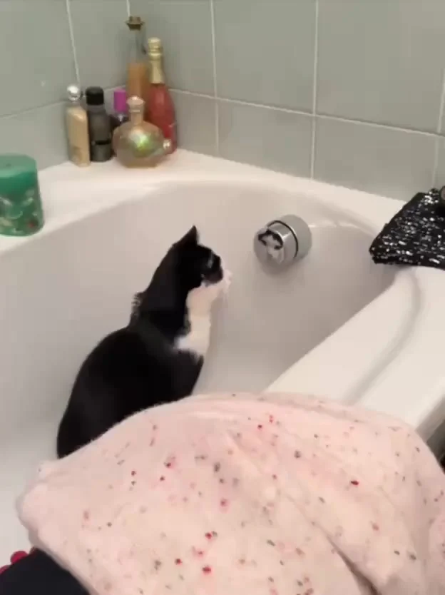 Увидел красавчика