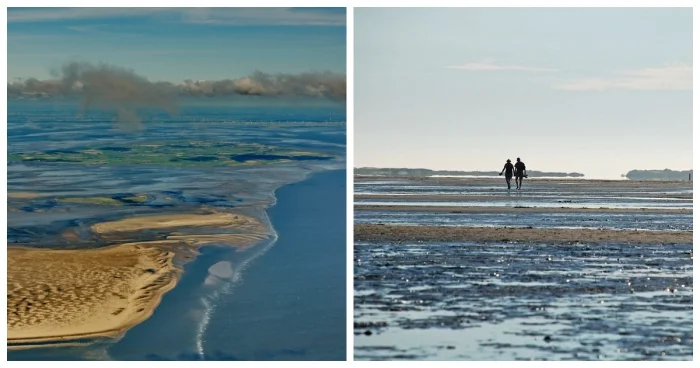 Ваттовое море: опасные тропы Атлантики