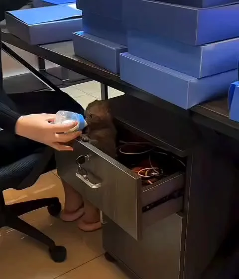 Воспитание нового сотрудника