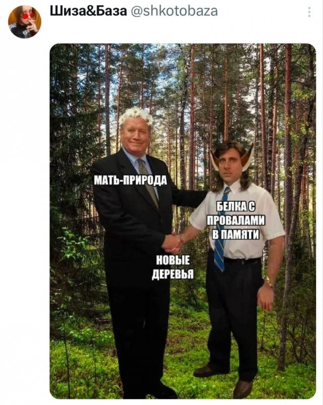 Забавные факты