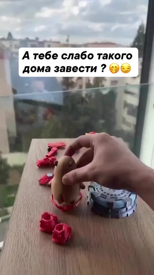 Железная копибара