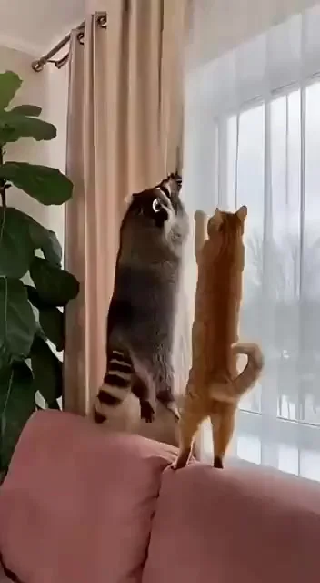 Жулик, не воруй...