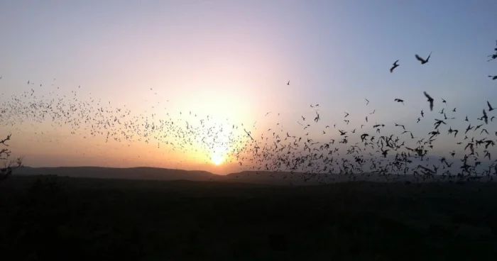 Любопытные факты, о которых почему-то не рассказывают в школе