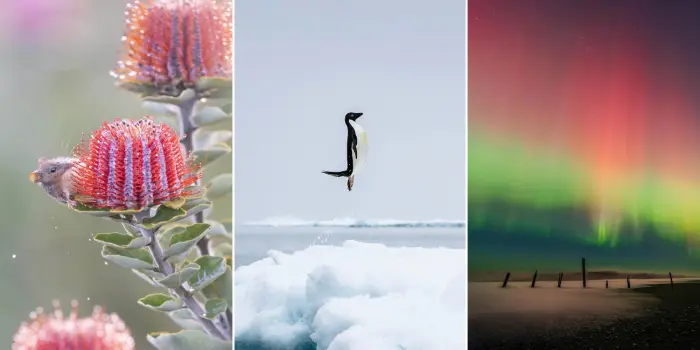 11 лучших фото дикой природы и людей с фотоконкурса Sony Alpha Awards