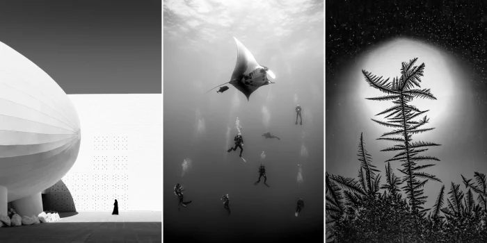 14 красивых чёрно-белых фотографий